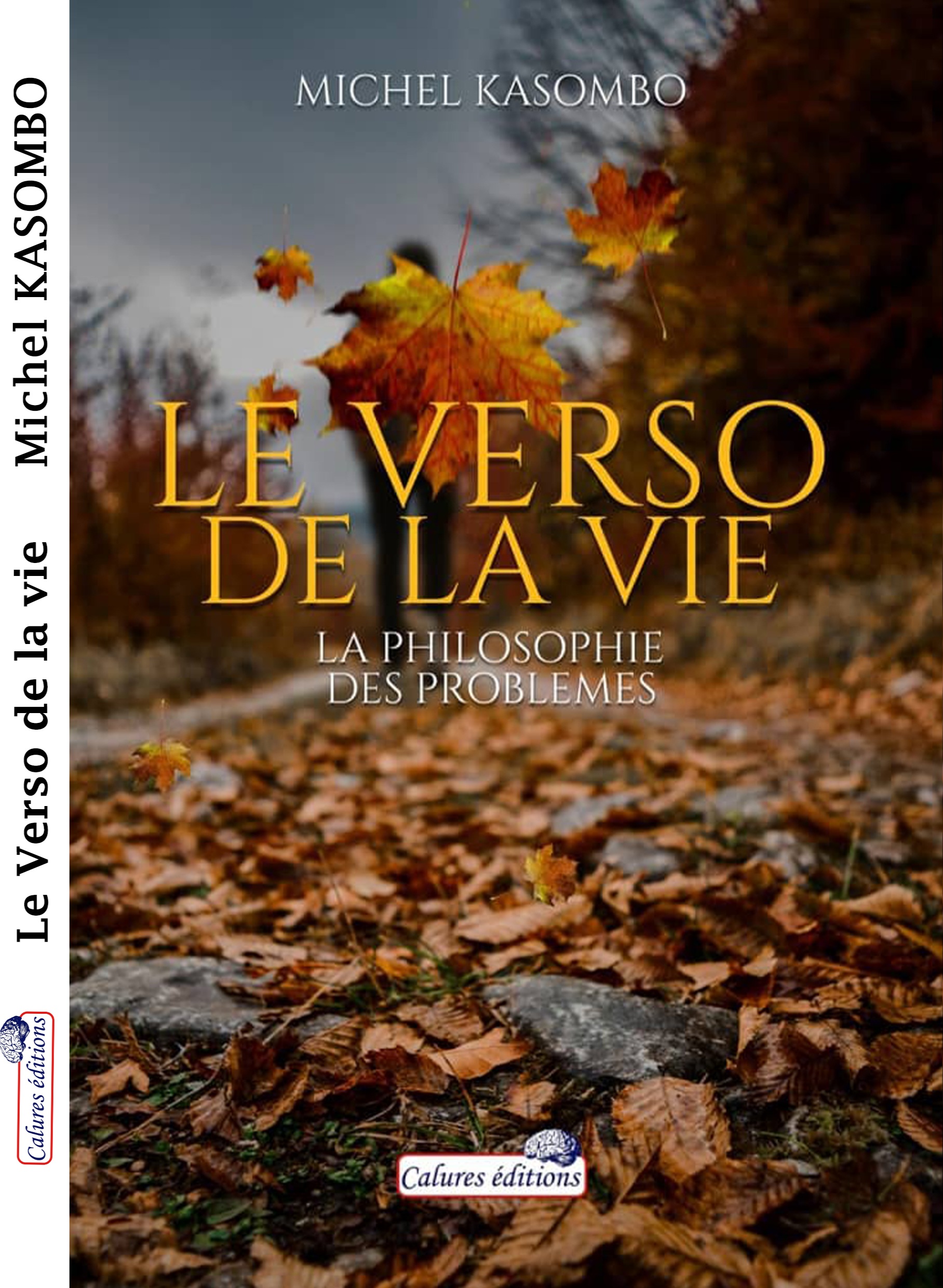 Le Verso de la vie. La philosophie des problemes.